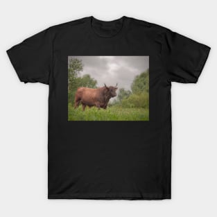 The bull T-Shirt